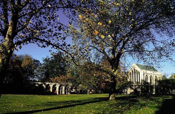 The University of York. Парк возле библиотеки