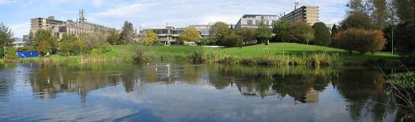 University of Bath