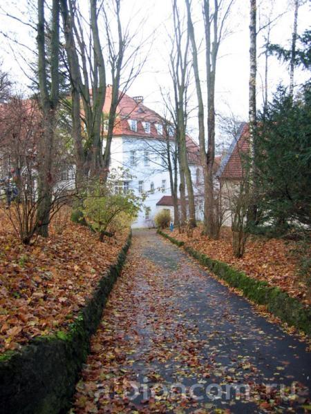 Детский языковой центр Reimlingen на базе школы St. Albert. Школьная аллея