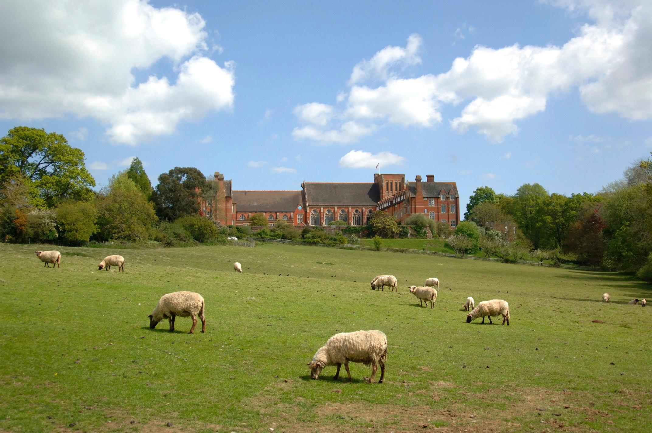 Окрестности колледжа Ardingly